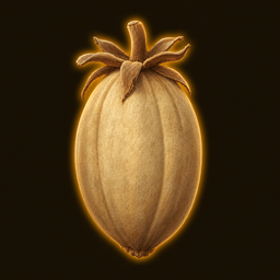 Baobab Fruit